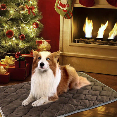 Thermal Pet Bed