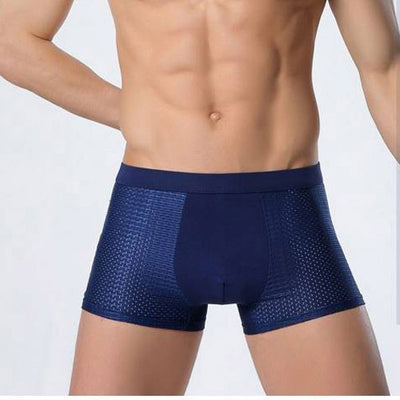Men's Silk Mesh Underwear