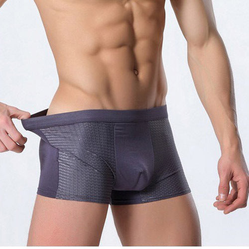 Men's Silk Mesh Underwear