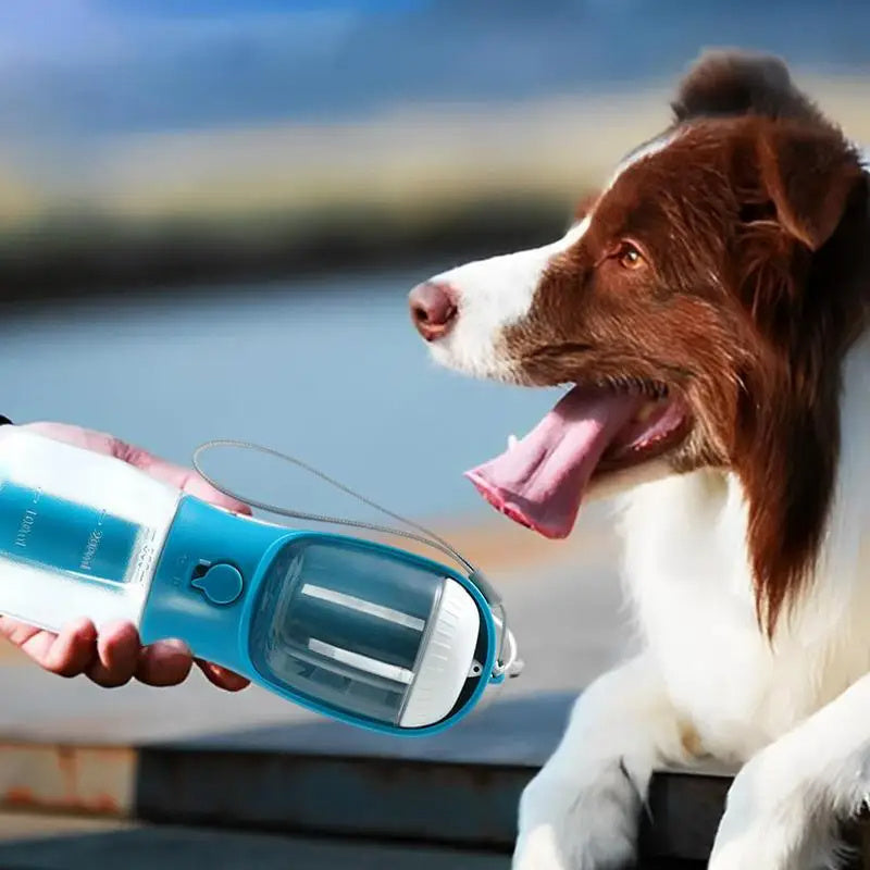 On the Go Pet Feeder and Water Bowl with Waste Bag