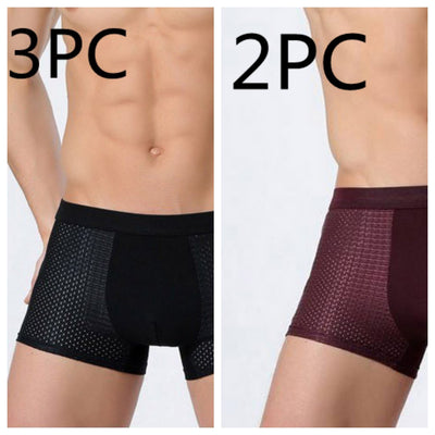Men's Silk Mesh Underwear