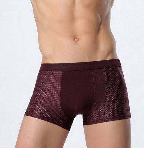 Men's Silk Mesh Underwear