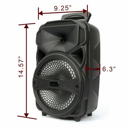 1000W Portable Bluetooth Karaoke Speaker with LED Light Display and Mic