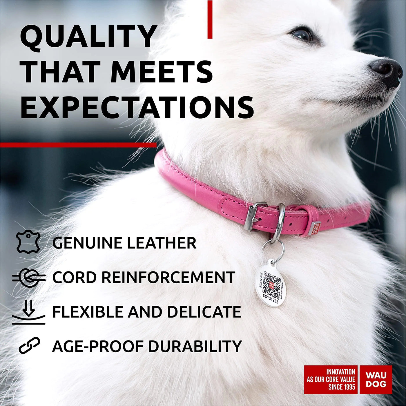 Ultra Soft Rolled Leather Dog Collar for Small Dogs 8-10 inches