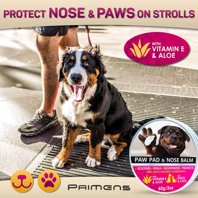 Natural Dog Paw Balm Dog Paw Protection from Hot Pavement